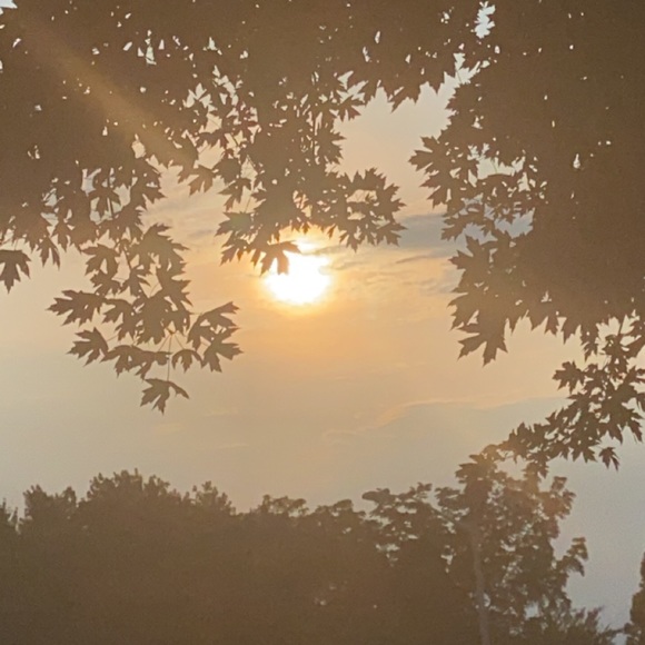 Meet your Posher, Lily - Picture 1 of 1